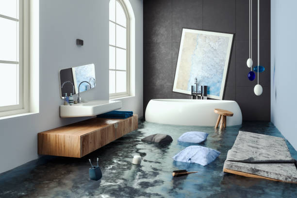 Best Basement water damage restoration  in Silver Bay, MN