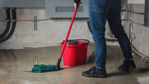 Best Local water damage restoration  in Silver Bay, MN